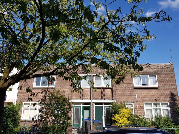 Chrysantenstraat