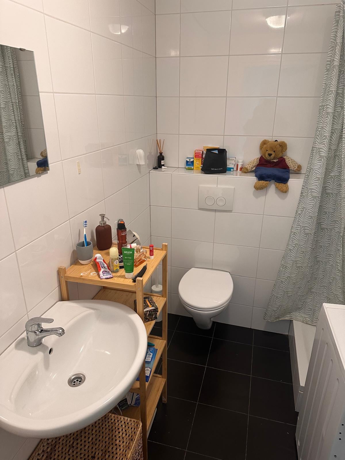Image 7