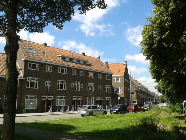 Geldersedam 80 Den Bosch