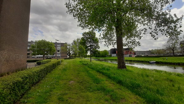 van Reysstraat, 's-Hertogenbosch