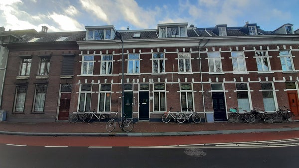 Zuid Willemsvaart, 's-Hertogenbosch