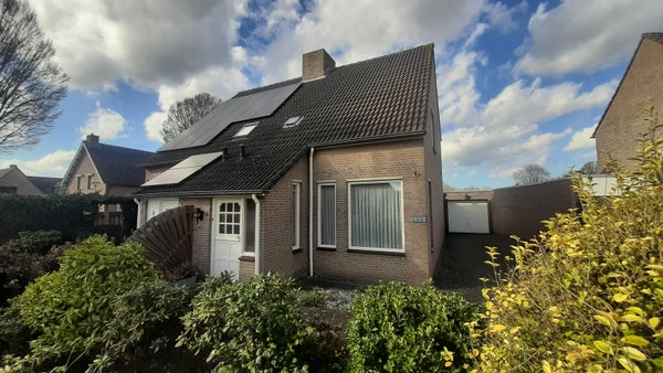 Platanenstraat, Vinkel