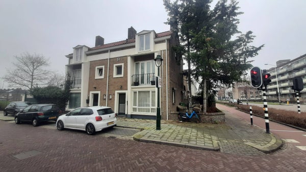 Palmboomstraat, 's-Hertogenbosch