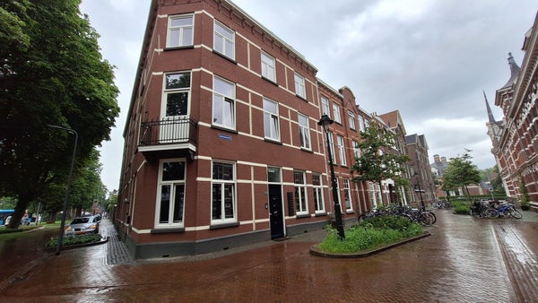 Hertogstraat