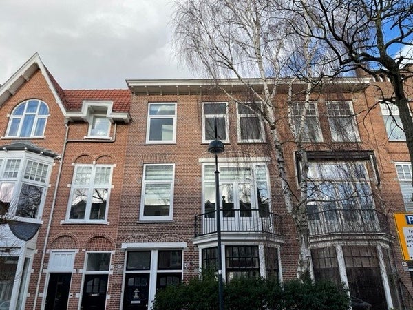Schouwtjeslaan, Haarlem