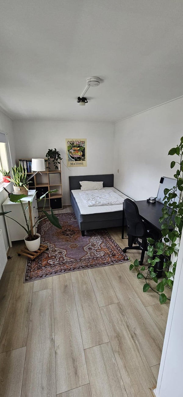 Nieuwe Blekerstraat 42 a, Groningen