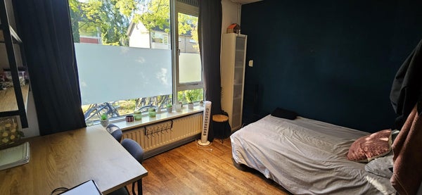 Wegalaan 41, Groningen