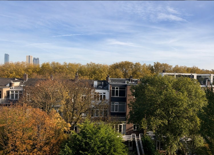 Adrien Mildersstraat 82