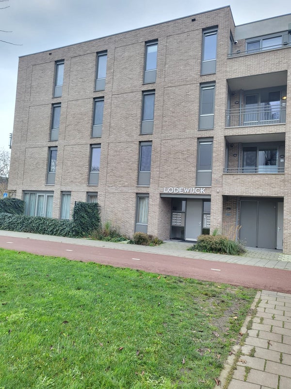 free-sector-houses for rent on Geuzenpad