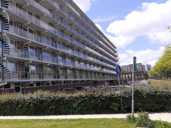 vrije-sector-woningen te huur op Alkenoord