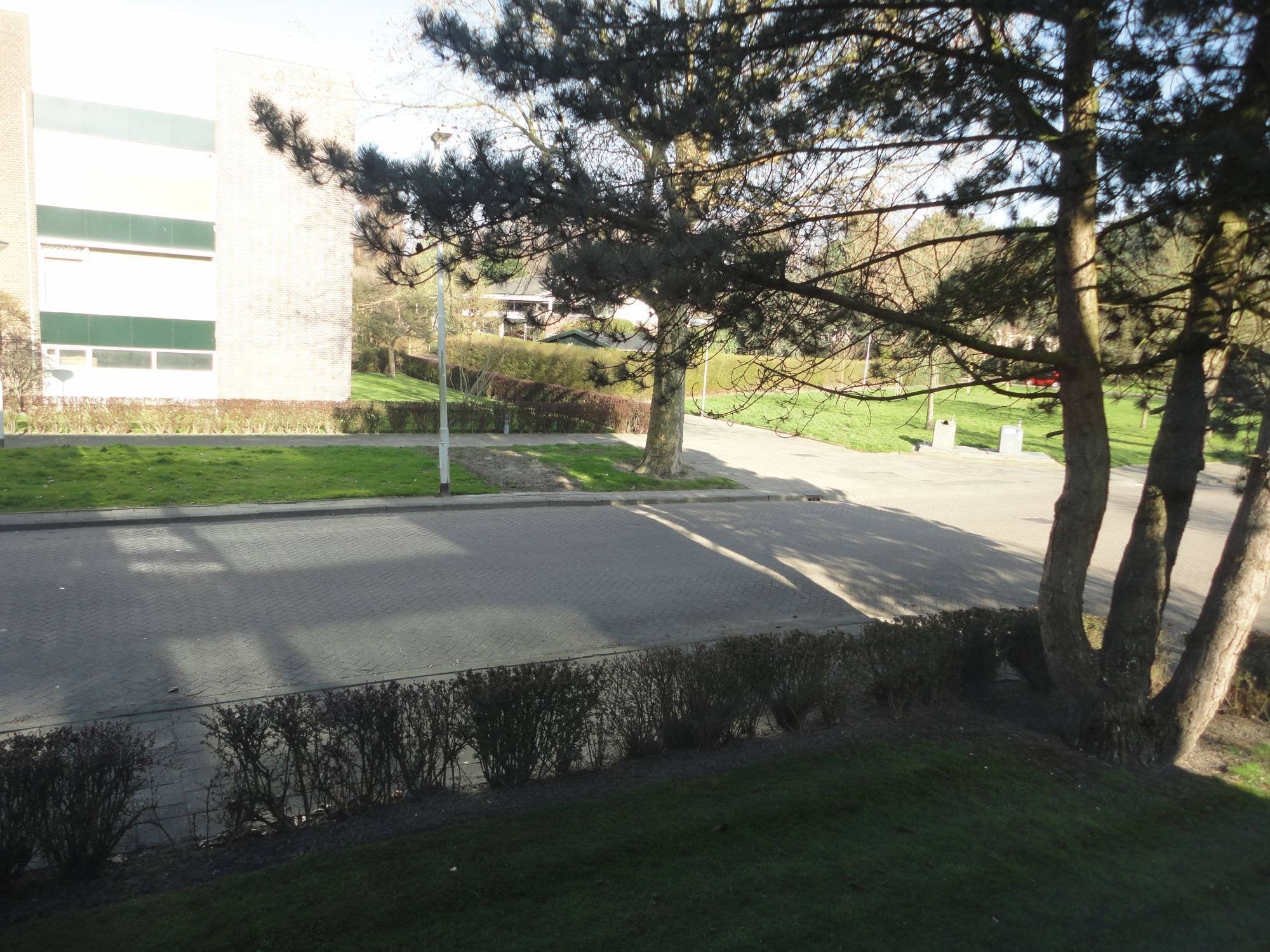 Image 11
