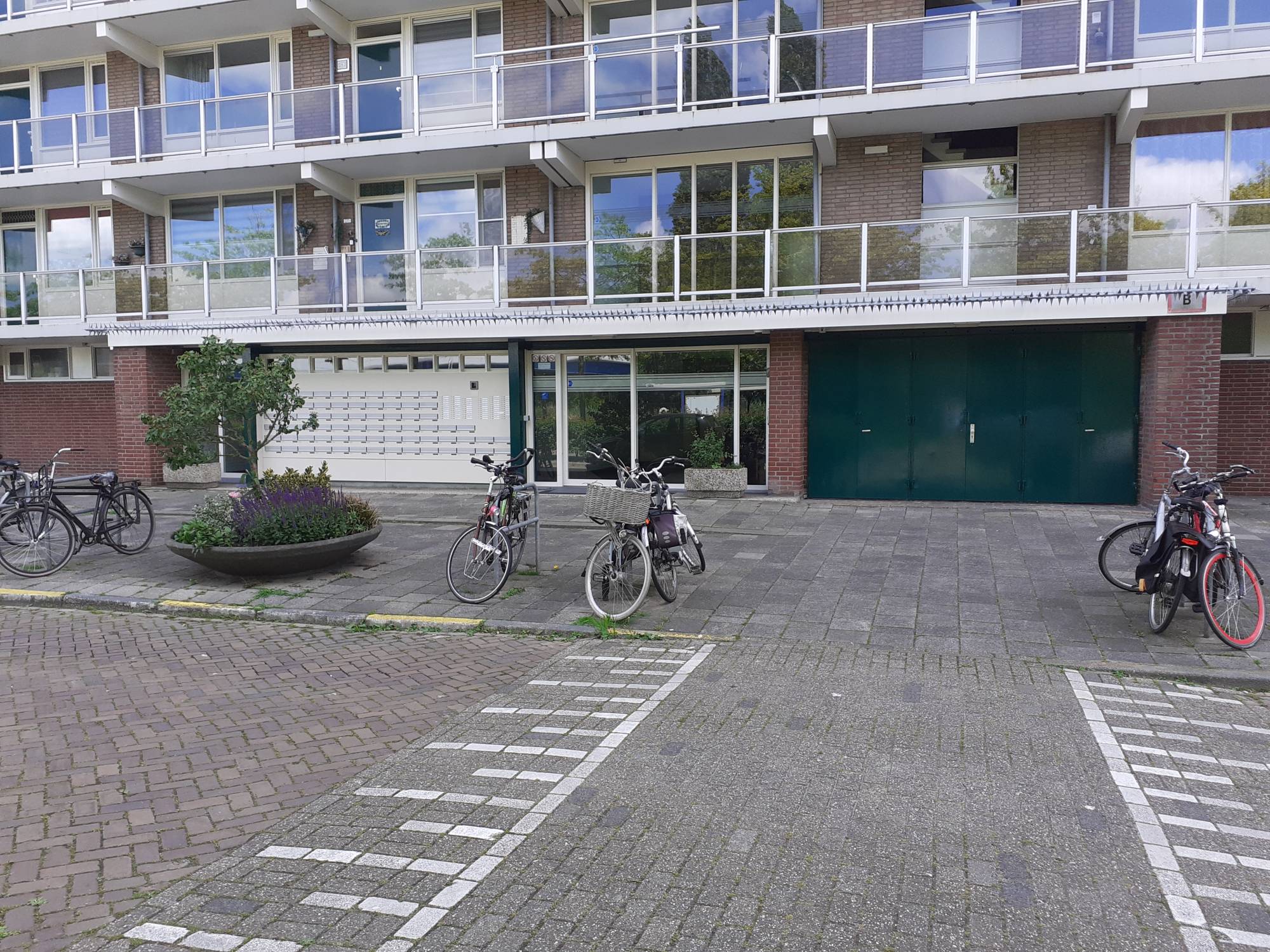 Image 3