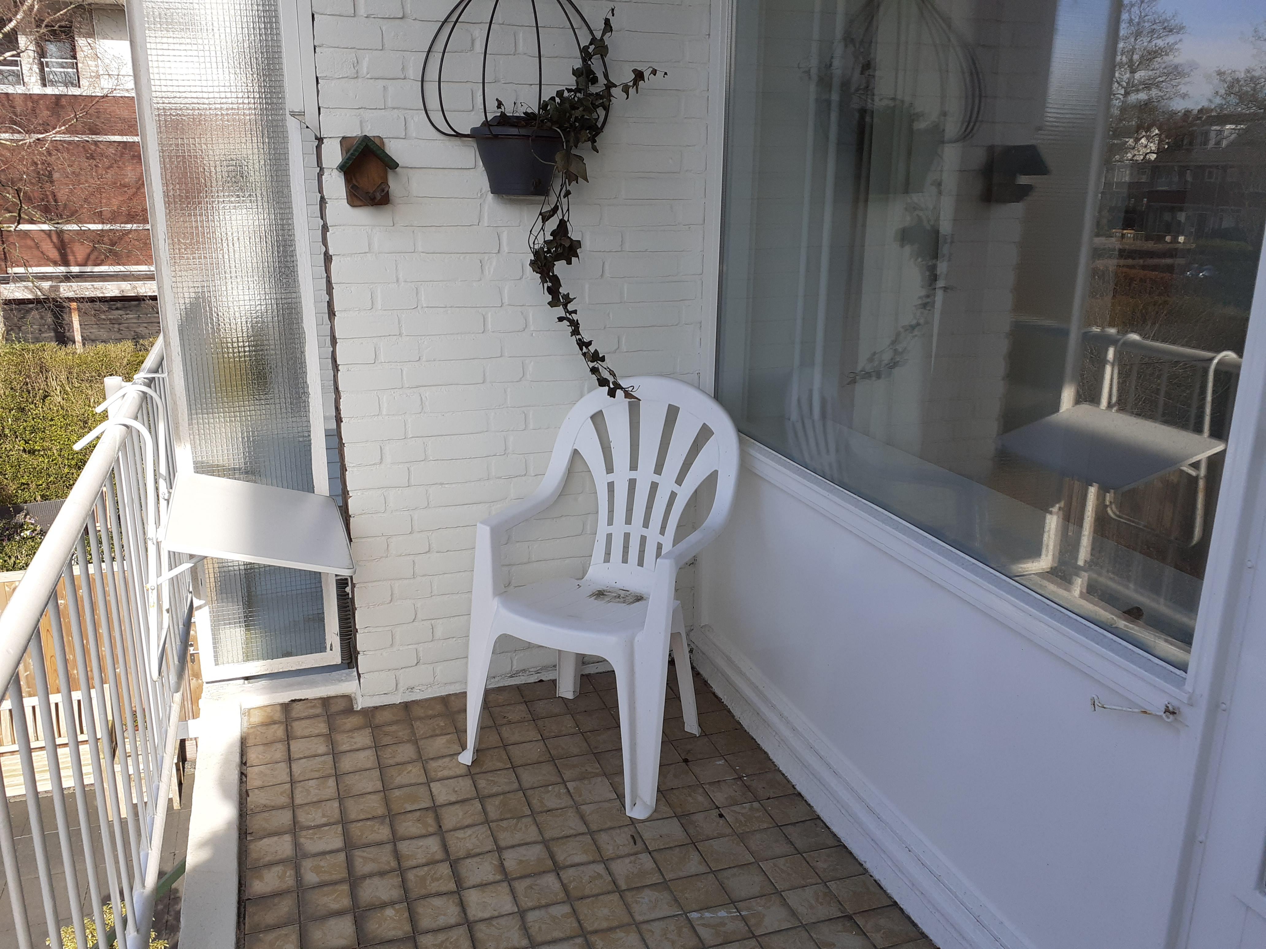 Image 22