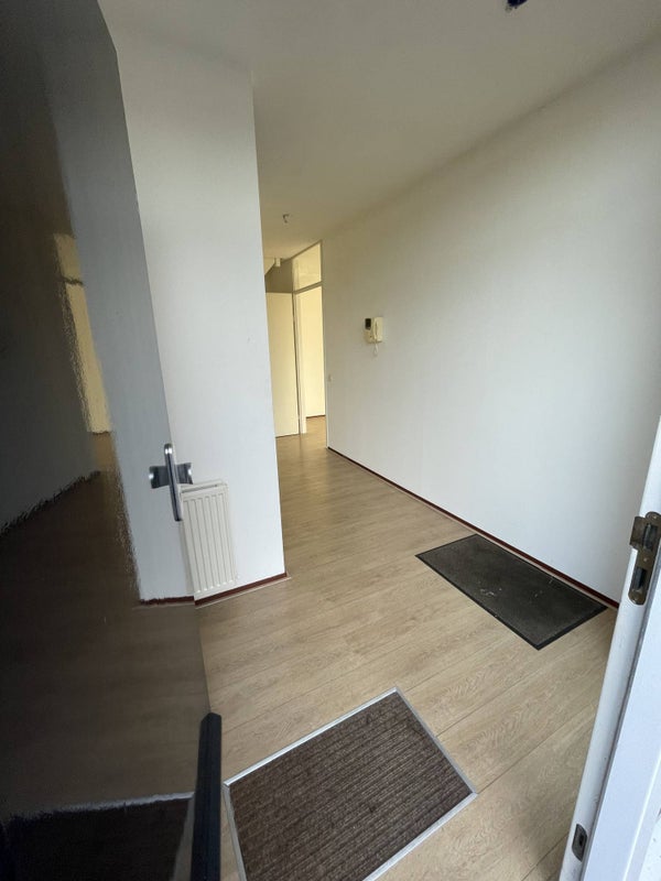 Wijnstraat