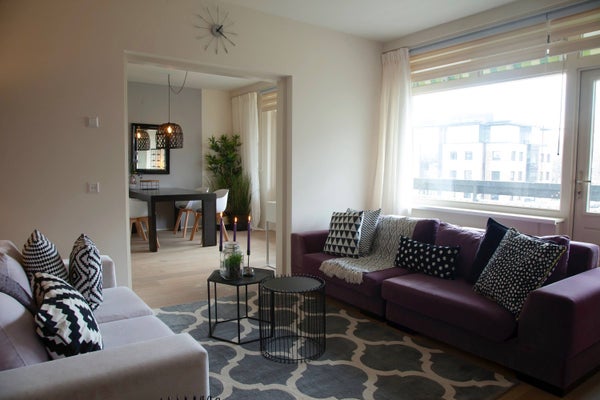 apartments for rent on Bolestein