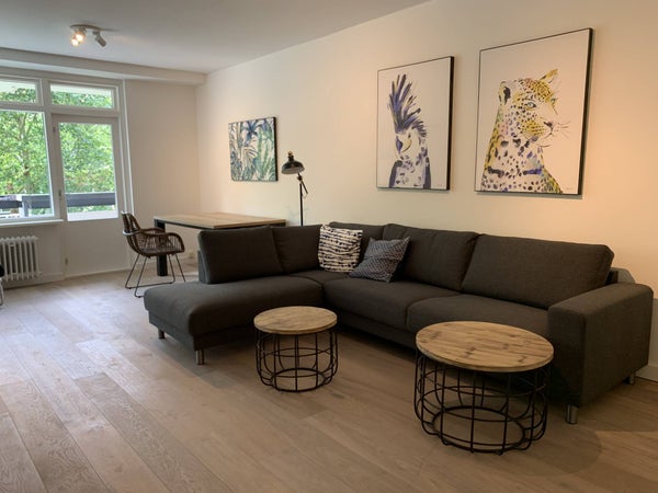 Bolestein 238, Amsterdam
