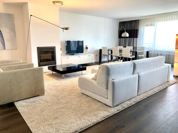 homes for rent on Pieter de Hoochstraat