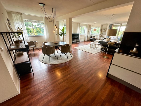 apartments for rent on Kamerlingh Onnesstraat