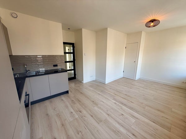 free-sector-houses for rent on Orteliusstraat