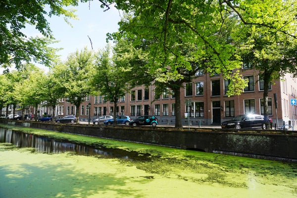 Nieuwe Uitleg, The Hague