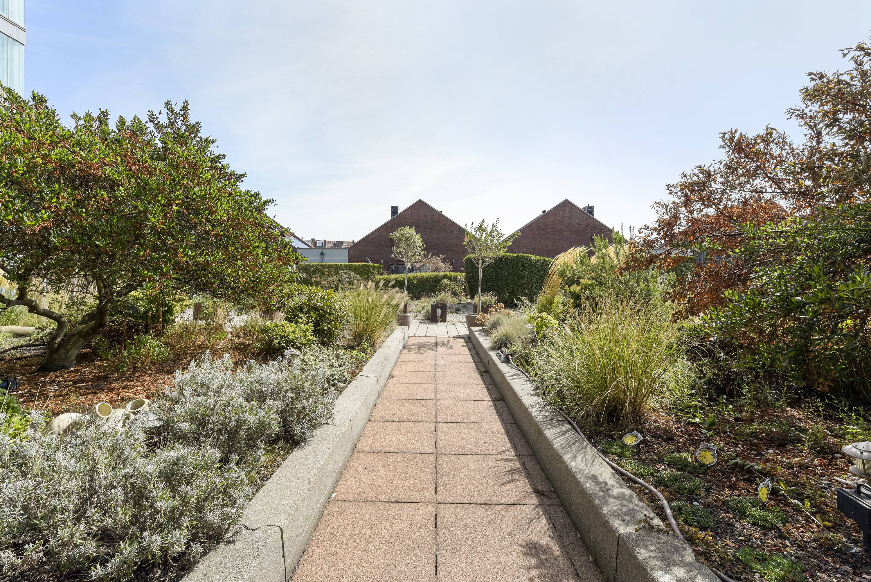 Image 32