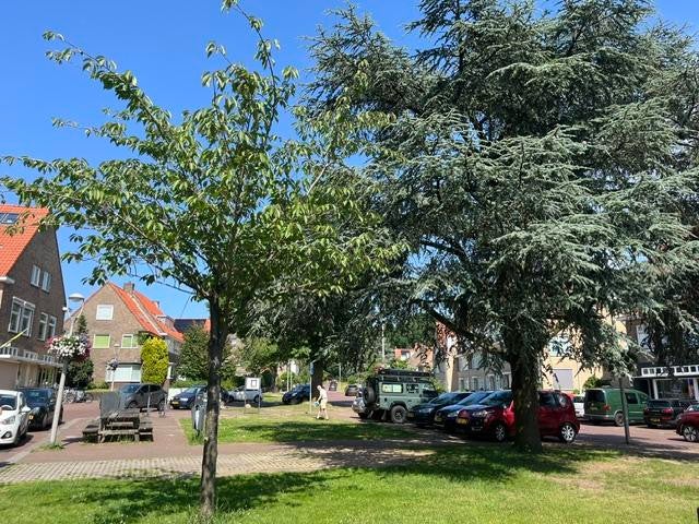 Appartement in Arnhem