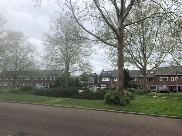 Groene Weide, Arnhem