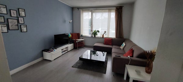 Groene Weide, Arnhem
