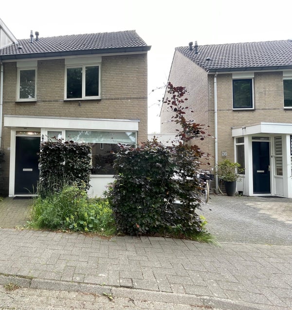 Schout Leytengaarde