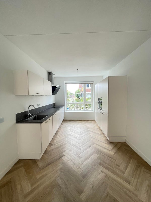 Vioolstraat