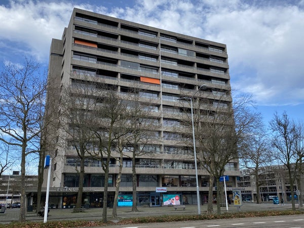 Elzentlaan, Eindhoven