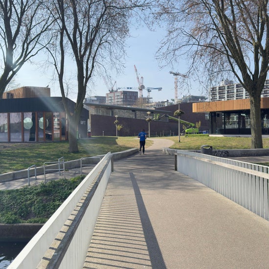 Image 30
