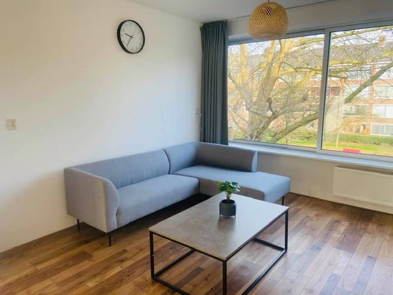 Apartment in Amsterdam