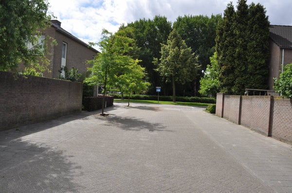 Image 15
