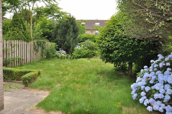 Image 13