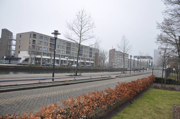 Image 12