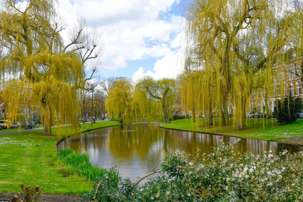 huurwoningen te huur op Spoorsingel